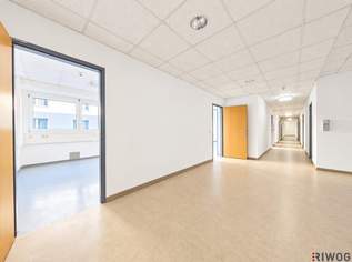 555m² Bürofläche | Adaptierungen nach Absprache möglich | U-Bahnnähe | Kurz- & Dauerparkplätze, 7492.5 €, Immobilien-Gewerbeobjekte in 1150 Rudolfsheim-Fünfhaus 555m² Bürofläche | Adaptierungen nach Absprache möglich | U-Bahnnähe | Kurz- & Dauerparkplätze, 7492.5 €, Immobilien-Gewerbeobjekte in 1150 Rudolfsheim-Fünfhaus