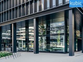 Repräsentatives Geschäftslokal in erstklassiger Lage, 4306.42 €, Immobilien-Gewerbeobjekte in 1100 Favoriten Repräsentatives Geschäftslokal in erstklassiger Lage, 4306.42 €, Immobilien-Gewerbeobjekte in 1100 Favoriten