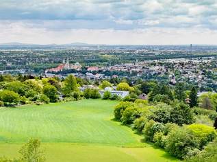 Toplage am Ölberg in Klosterneuburg / Wien- + Stiftsblick Toplage am Ölberg in Klosterneuburg / Wien- + Stiftsblick