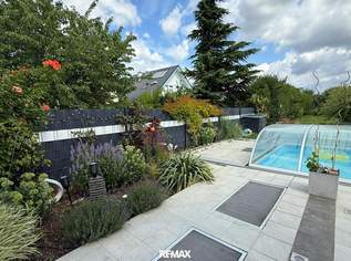 Großes Grundstück mit Pool und wundervoller Ruhe - was will man mehr!, 599000 €, Immobilien-Häuser in 1220 Donaustadt Großes Grundstück mit Pool und wundervoller Ruhe - was will man mehr!, 599000 €, Immobilien-Häuser in 1220 Donaustadt