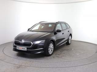 Octavia Selection TDI DSG, 37490 €, Auto & Fahrrad-Autos in 8792 St. Peter-Freienstein