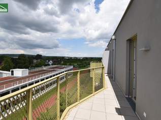 Hervorragende 2.Zimmer mit Terrasse im begehrten Niedrig-Energie-Standard – Provisionsfreier Erstbezug im "Hirschfeld", 320000 €, Immobilien-Wohnungen in 1210 Floridsdorf