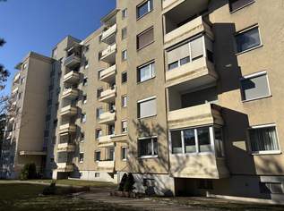 Sanierungsbedürftige Eigentumswohnung am Froschberg, 240000 €, Immobilien-Wohnungen in Oberösterreich