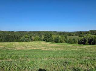 Baugrundstück mit viel Sonne im oststeirischen Hügelland 15 km von Graz!, 66000 €, Immobilien-Grund und Boden in 8323 Kohldorf