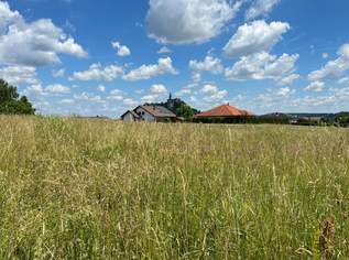Sonniger Baugrund mit Burgblick, 48000 €, Immobilien-Grund und Boden in 7540 Krottendorf bei Güssing