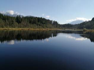 Sonniges, tolles 1-Zimmerappartement mit Seeblick in Seeboden