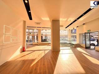 360 TOUR // GESCHÄFTSLOKAL IN TOPLAGE, 8305.63 €, Immobilien-Gewerbeobjekte in 1010 Innere Stadt 360 TOUR // GESCHÄFTSLOKAL IN TOPLAGE, 8305.63 €, Immobilien-Gewerbeobjekte in 1010 Innere Stadt