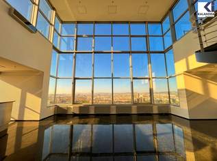 360 TOUR // BÜROFLÄCHE im ARES TOWER, 23.45 €, Immobilien-Gewerbeobjekte in 1220 Donaustadt 360 TOUR // BÜROFLÄCHE im ARES TOWER, 23.45 €, Immobilien-Gewerbeobjekte in 1220 Donaustadt