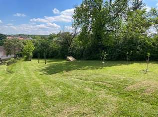 Leben im Grünen: Nachhaltige Liegenschaft mit Bauernhaus viel Land und Selbstversorger-Potenzial!, 369000 €, Immobilien-Häuser in 2251 Ebenthal Leben im Grünen: Nachhaltige Liegenschaft mit Bauernhaus viel Land und Selbstversorger-Potenzial!, 369000 €, Immobilien-Häuser in 2251 Ebenthal