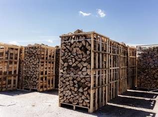 25, 33,50 Brennholz halb trocken Buche, Eiche Kiste 1,95RM RUF