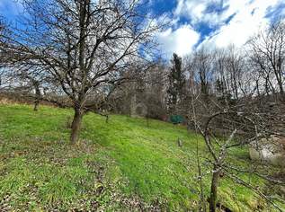 RARITÄT MIT PREMIUM AUSSICHT MIT EXKLUSIVER BAUGENEHMIGUNG, 2999000 €, Immobilien-Häuser in 5020 Salzburg