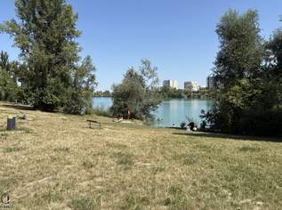 Cityhouse in Wien – mit Garten, Terrasse und Privatsphäre, 649000 €, Immobilien-Häuser in 1220 Donaustadt