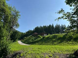 ***Baugrundstück in idyllischer Lage mit Bachlauf (134/5) – Ihr Traumhaus wartet auf Sie!***, 54500 €, Immobilien-Grund und Boden in 8624 Au bei Turnau