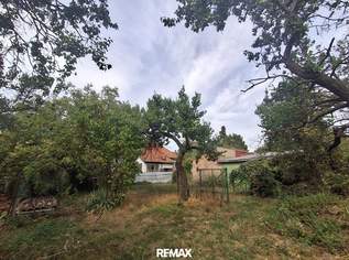 Großes Grundstück 5.143 m² in Hornstein - Baugrund und Grünland, 465000 €, Immobilien-Grund und Boden in 7053 Hornstein