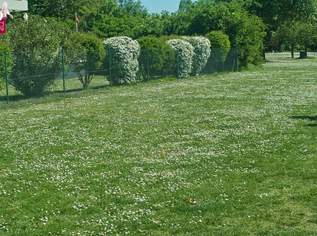 BAUGENEHMIGTES PROJEKT IN BESTLAGE DES 13. WIENER BEZIRKS ++++ WEITERE BAUBEWILLIGTE PROJEKTE VERFÜGBAR!, 1950000 €, Immobilien-Grund und Boden in 1130 Hietzing BAUGENEHMIGTES PROJEKT IN BESTLAGE DES 13. WIENER BEZIRKS ++++ WEITERE BAUBEWILLIGTE PROJEKTE VERFÜGBAR!, 1950000 €, Immobilien-Grund und Boden in 1130 Hietzing