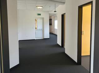 Feste Bürofläche ODER kurzfristige Einzelbüros – alles in einem Objekt!, 1800 €, Immobilien-Gewerbeobjekte in 4121 Altenfelden Feste Bürofläche ODER kurzfristige Einzelbüros – alles in einem Objekt!, 1800 €, Immobilien-Gewerbeobjekte in 4121 Altenfelden