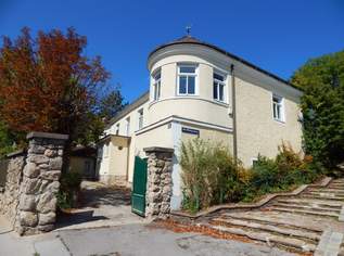 Historisches Gebäude mit großen Weinkeller mit Gewölbe im Zentrum von Perchtoldsdorf, 1150000 €, Immobilien-Häuser in 2380 Gemeinde Perchtoldsdorf