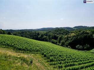 Ein Logenplatz an der Südsteirischen Weinstraße: Exklusives Chalet-Grundstück mit spektakulärem Panoramablick, 1400000 €, Immobilien-Grund und Boden in 8462 Eckberg