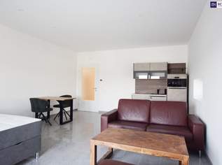 VOLLMÖBLIERTE Garconniere mit 45m² in der MALERISCHEN West-Steiermark! ERSTBEZUG ab sofort verfügbar!, 792 €, Immobilien-Wohnungen in 8151 Rohrbach