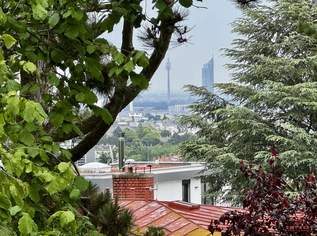 GROSSZÜGIGE, ABSOLUT RUHIG GELEGENE TERASSENWOHNUNG MIT WIEN- UND WEITBLICK, 975000 €, Immobilien-Wohnungen in 1190 Döbling