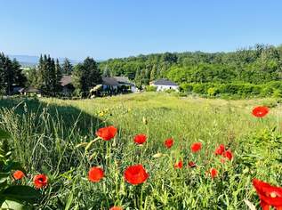 Baugrundstück(e) in absoluter Bestlage von LEOBENDORF - BURG KREUZENSTEIN, 370300 €, Immobilien-Grund und Boden in Niederösterreich