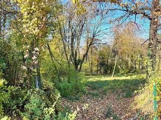 Platz für ein Einfamilien- oder Doppelhaus - Eigengrund am Ödberg in sonniger, grüner Umgebung, 495000 €, Immobilien-Grund und Boden in 3400 Gemeinde Klosterneuburg Platz für ein Einfamilien- oder Doppelhaus - Eigengrund am Ödberg in sonniger, grüner Umgebung, 495000 €, Immobilien-Grund und Boden in 3400 Gemeinde Klosterneuburg