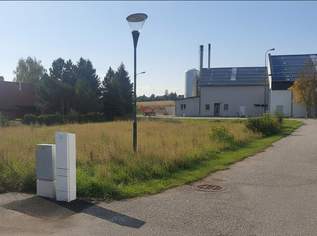 Baugrund in 2161 Poysbrunn – 928m² Eigenheim-Traum zum Top-Preis von 120.000 €!, 120000 €, Immobilien-Grund und Boden in 2161 Poysbrunn Baugrund in 2161 Poysbrunn – 928m² Eigenheim-Traum zum Top-Preis von 120.000 €!, 120000 €, Immobilien-Grund und Boden in 2161 Poysbrunn