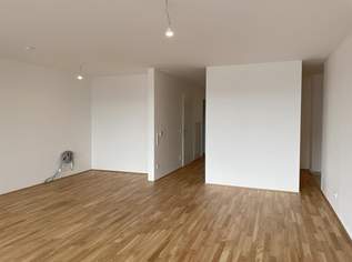 Nachhaltige Wohnung mit energieeffizienter Technologie, 420500 €, Immobilien-Wohnungen in Oberösterreich