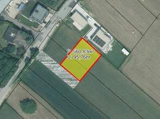 Baugrundstück für Eigenheim in 2721 Bad Fischau-Brunn – Preis €189.000,-, 189000 €, Immobilien-Grund und Boden in 2721 Bad Fischau Baugrundstück für Eigenheim in 2721 Bad Fischau-Brunn – Preis €189.000,-, 189000 €, Immobilien-Grund und Boden in 2721 Bad Fischau