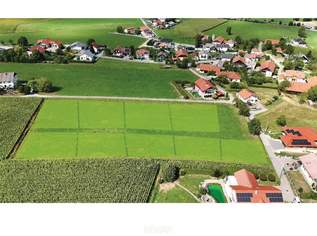 Hier darf Zukunft wachsen, 94000 €, Immobilien-Grund und Boden in 4942 Wippenham Hier darf Zukunft wachsen, 94000 €, Immobilien-Grund und Boden in 4942 Wippenham