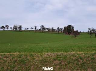 Die Gelegenheit! Günstiger Baugrund in St. Johann in Engstetten/St. Peter/Au., 82980 €, Immobilien-Grund und Boden in 3352 Sankt Johann in Engstetten Die Gelegenheit! Günstiger Baugrund in St. Johann in Engstetten/St. Peter/Au., 82980 €, Immobilien-Grund und Boden in 3352 Sankt Johann in Engstetten