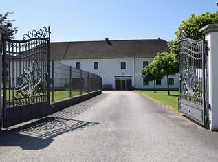 Neu adaptierter Vierkanter in Alleinlage in Neustadtl, 1150000 €, Immobilien-Gewerbeobjekte in 3323 Gemeinde Neustadtl an der Donau