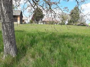 Sonniges Baugrundstück im Südburgenland!, 45000 €, Immobilien-Grund und Boden in 7511 Neuhaus in der Wart