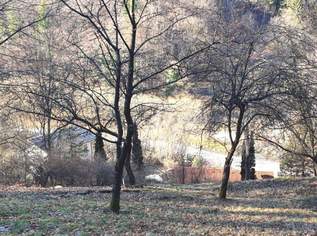 Baugrund mit geplanten Wohnprojekt im Nordwesten von Graz zu verkaufen