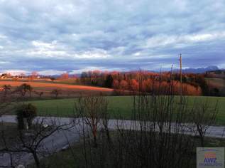 Haus in Alleinlage und Panoramaaussicht: Leben am Land!, 0 €, Immobilien-Häuser in 4690 Schwanenstadt