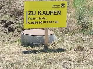 4 kleine Grundstücke am Stadtrand !, 99000 €, Immobilien-Grund und Boden in 7083 Purbach am Neusiedler See