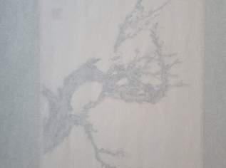 Chinesische Drucke und Tuschen , 100 €, Marktplatz-Antiquitäten, Sammlerobjekte & Kunst in 1180 Währing Chinesische Drucke und Tuschen , 100 €, Marktplatz-Antiquitäten, Sammlerobjekte & Kunst in 1180 Währing