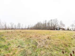 Baugrund in ländlicher Umgebung - 10 Minuten zum Neusiedler See, 230000 €, Immobilien-Grund und Boden in 7100 Gemeinde Neusiedl am See Baugrund in ländlicher Umgebung - 10 Minuten zum Neusiedler See, 230000 €, Immobilien-Grund und Boden in 7100 Gemeinde Neusiedl am See