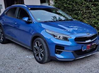 XCeed 1,6 CRDI 48V Platin DCT, 17499 €, Auto & Fahrrad-Autos in 4575 Roßleithen