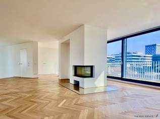 Traum Penthouse mit großen Terrassen und Fernblick, 2495000 €, Immobilien-Wohnungen in 1040 Wieden