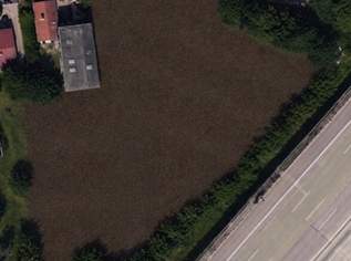 Wohnwagen Stellplatz, 50 €, Immobilien-Kleinobjekte & WGs in 2540 Bad Vöslau