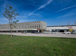 Moderne Büroflächen direkt beim Bahnhof Tullnerfeld, 2679.88 €, Immobilien-Gewerbeobjekte in 3451 Plankenberg