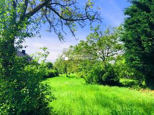 Baugrund 4 in Höhenlage am Naturschutzgebiet , 199000 €, Immobilien-Grund und Boden in 7091 Gemeinde Breitenbrunn Baugrund 4 in Höhenlage am Naturschutzgebiet , 199000 €, Immobilien-Grund und Boden in 7091 Gemeinde Breitenbrunn