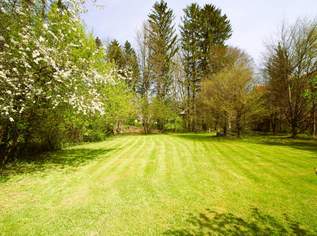 "NEUER PREIS!" Ca. 1000m² BAUGRUND IM VIELFÄLTIG SCHÖNEN WIENERWALD-ORT GAADEN BEI MÖDLING, 550000 €, Immobilien-Grund und Boden in 2531 Katastralgemeinde Gaaden