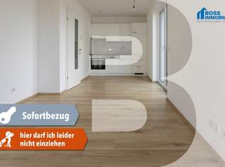Trendy Living - Top 4, 732 €, Immobilien-Wohnungen in 4050 Traun Trendy Living - Top 4, 732 €, Immobilien-Wohnungen in 4050 Traun