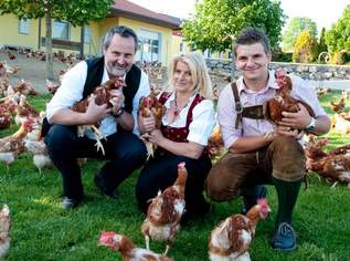 Freiland Legehennen 11. Legemonat, 1.5 €, Marktplatz-Tiere & Tierbedarf in 8282 Bad Loipersdorf Freiland Legehennen 11. Legemonat, 1.5 €, Marktplatz-Tiere & Tierbedarf in 8282 Bad Loipersdorf