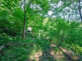 Baugrundstück mit Holzriegelprojekt im Rohbau in der Augustinerwaldsiedlung, 250000 €, Immobilien-Grund und Boden in 1140 Penzing Baugrundstück mit Holzriegelprojekt im Rohbau in der Augustinerwaldsiedlung, 250000 €, Immobilien-Grund und Boden in 1140 Penzing