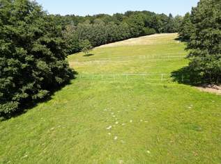 PFERDEHOF IN TRAUMLAGE - Für Landwirte!, 798000 €, Immobilien-Gewerbeobjekte in 3052 Innermanzing