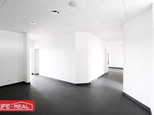 gut vermietetes, lichtdurchflutetes Büro in Traun mit der Option Parkplätze, zu kaufen, 449000 €, Immobilien-Gewerbeobjekte in 4050 Traun