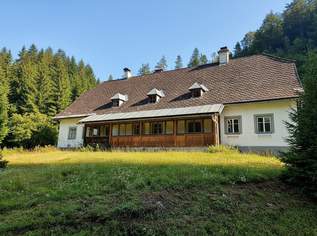 BAURECHT - WOHNHAUS IN DEN WILDALPEN, 950 €, Immobilien-Häuser in 8924 Wildalpen